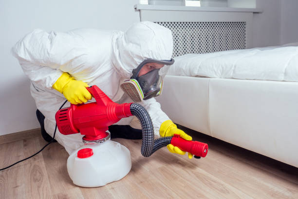 Best Flea Control Services  in Sur Hill, GA
