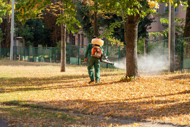 Flea Control Services in Sugar Hill, GA