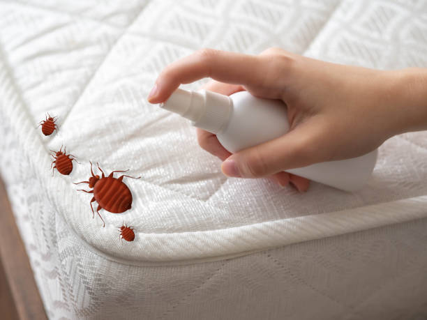 Wasp Removal Services in Sugar Hill, GA