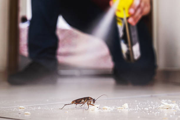 Professional Pest Control in Sugar Hill, GA