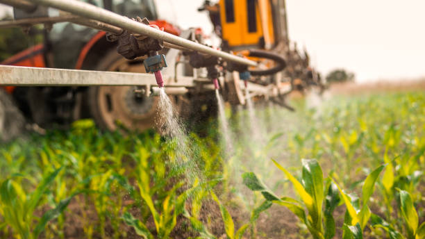 Best Mosquito Control Services  in Sur Hill, GA