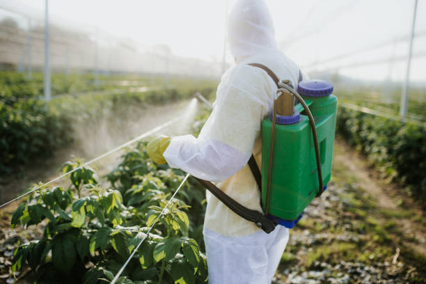 Pest Control for Restaurants in Sugar Hill, GA